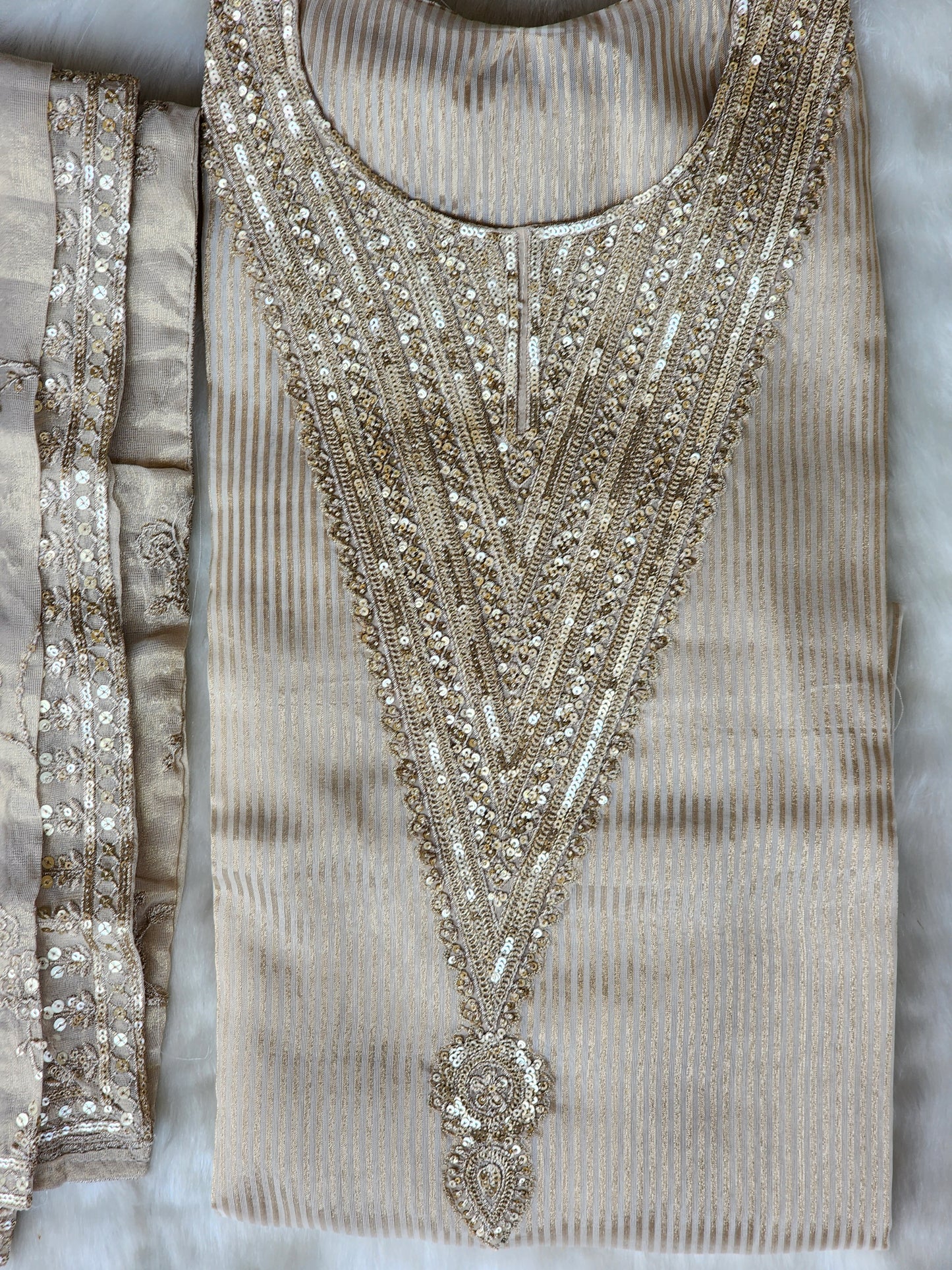 Beige Pure Tissue Organza Suit