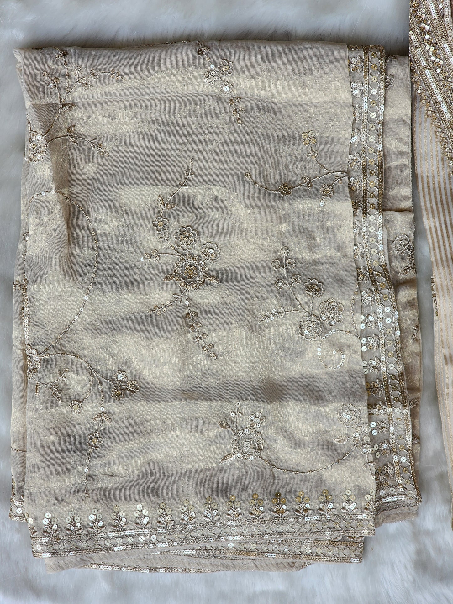 Beige Pure Tissue Organza Suit
