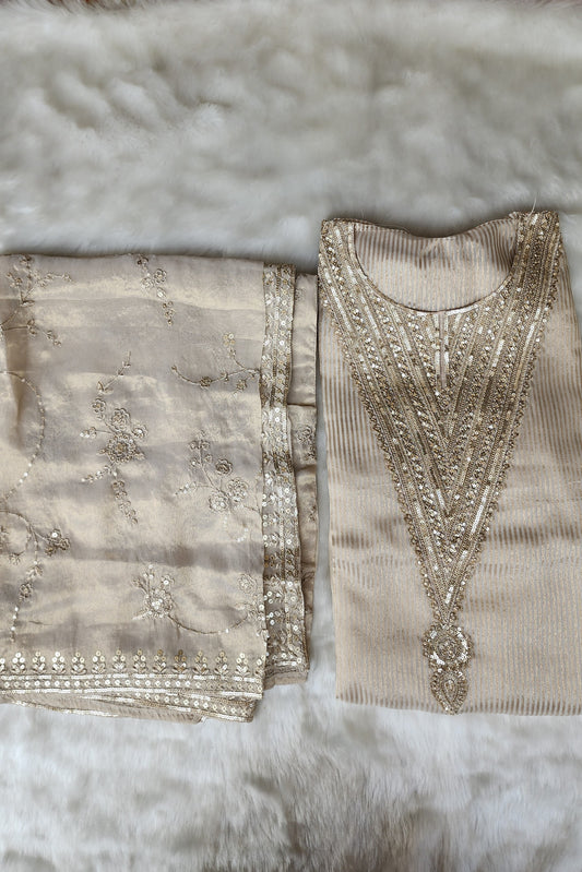 Beige Pure Tissue Organza Suit