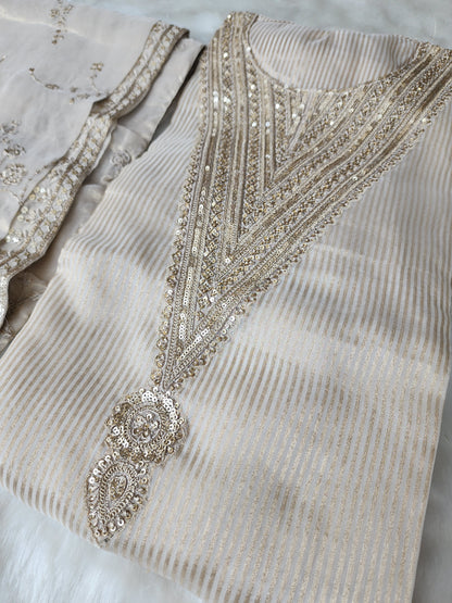 Beige Pure Tissue Organza Suit